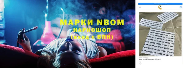 прущие грибы Гусь-Хрустальный