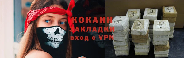 прущие грибы Гусь-Хрустальный