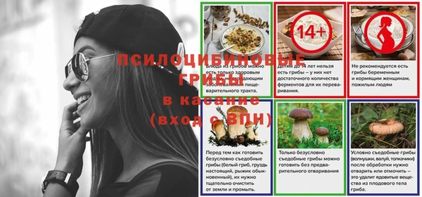 a pvp Гусев