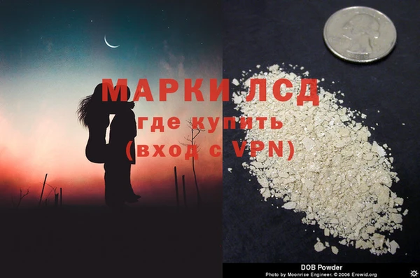 прущие грибы Гусь-Хрустальный