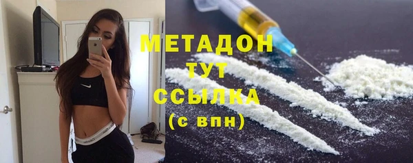 прущие грибы Гусь-Хрустальный