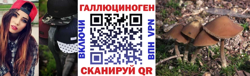 Купить Новоуральск Псилоцибиновые грибы MAGIC MUSHROOMS